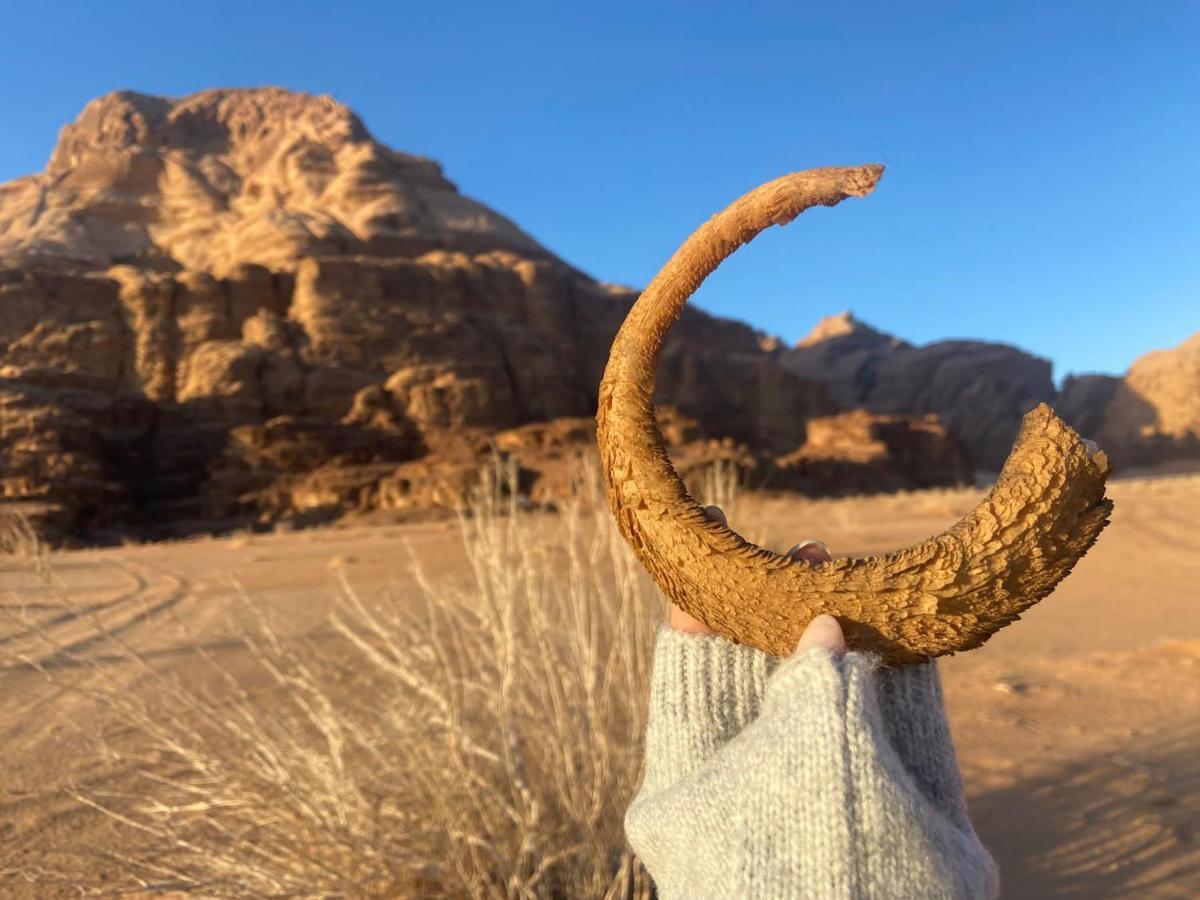 Wadi Rum Albasli Zewnętrze zdjęcie
