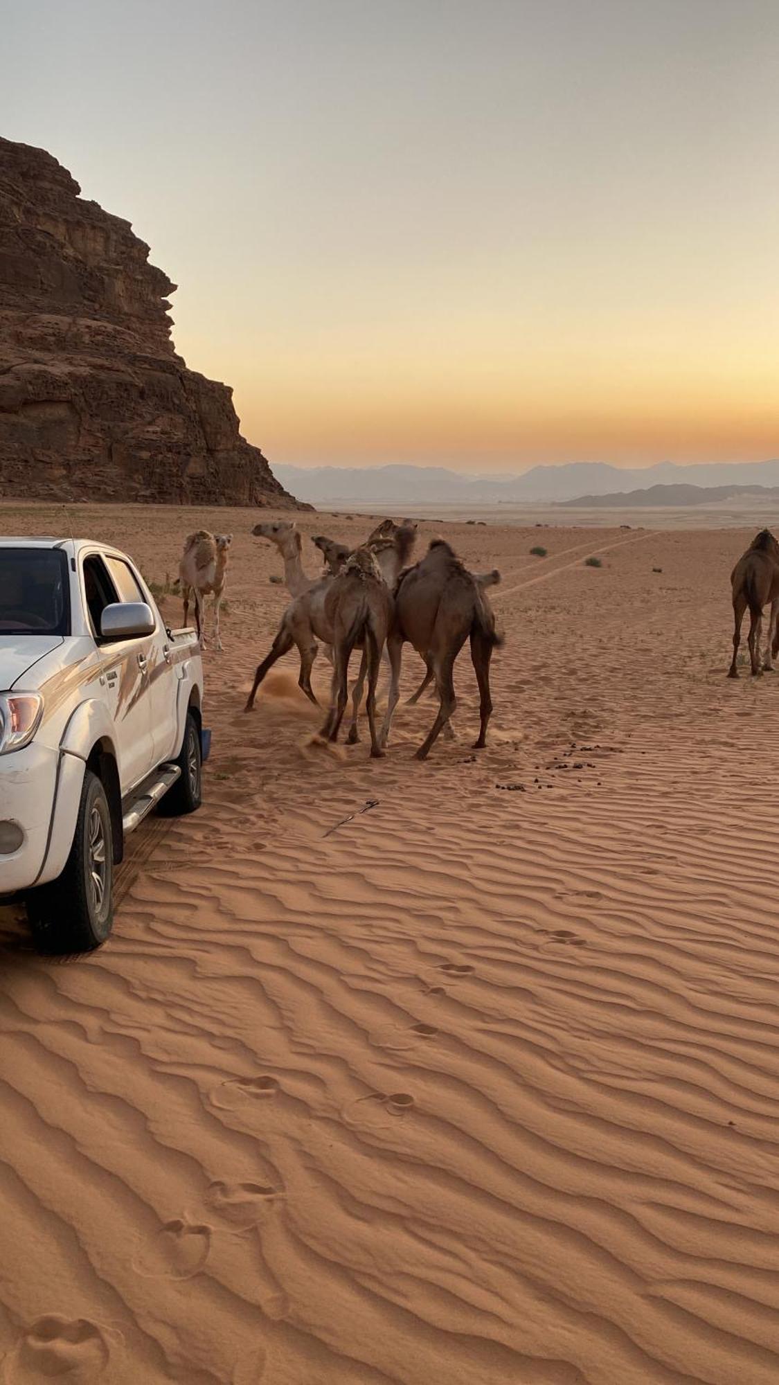 Wadi Rum Albasli Zewnętrze zdjęcie