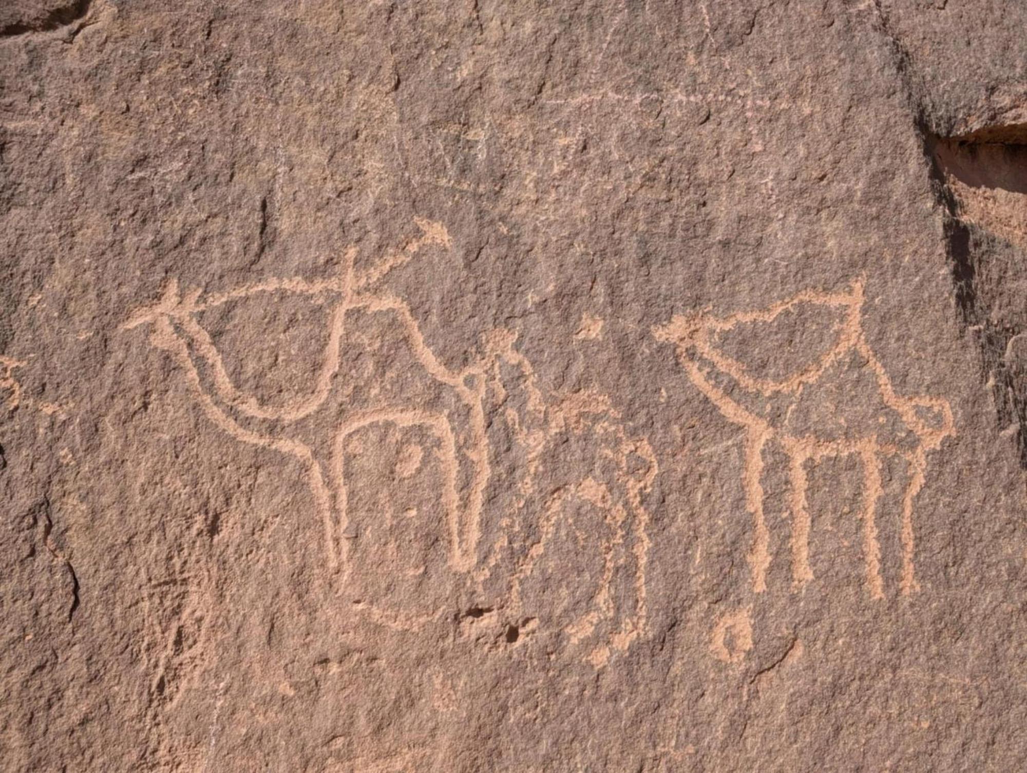 Wadi Rum Albasli Zewnętrze zdjęcie